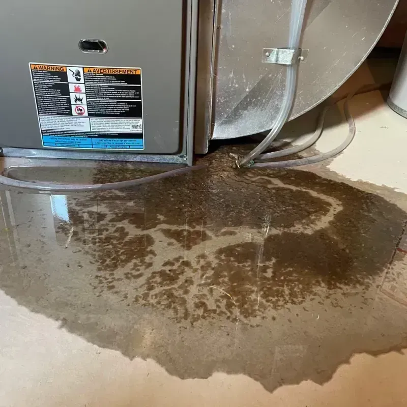 Appliance Leak Cleanup in Evergreen, CO